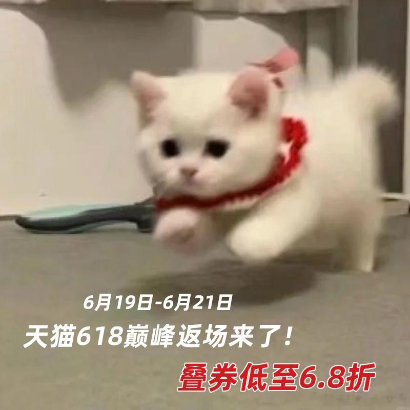 天猫618巅峰返场低至6.8折 趁着返场补齐全套美妆护肤，活动持续到6月21日，