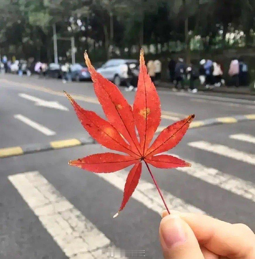 一段非常通透的话：“当你手握200万的存款，一辆30万的车，一套无贷的130平住