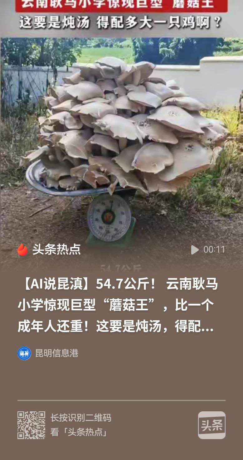 云南省堪称野生菌植物王国，果真名不虚传！
近日，在云南省临沧市耿马傣族佤族自治县