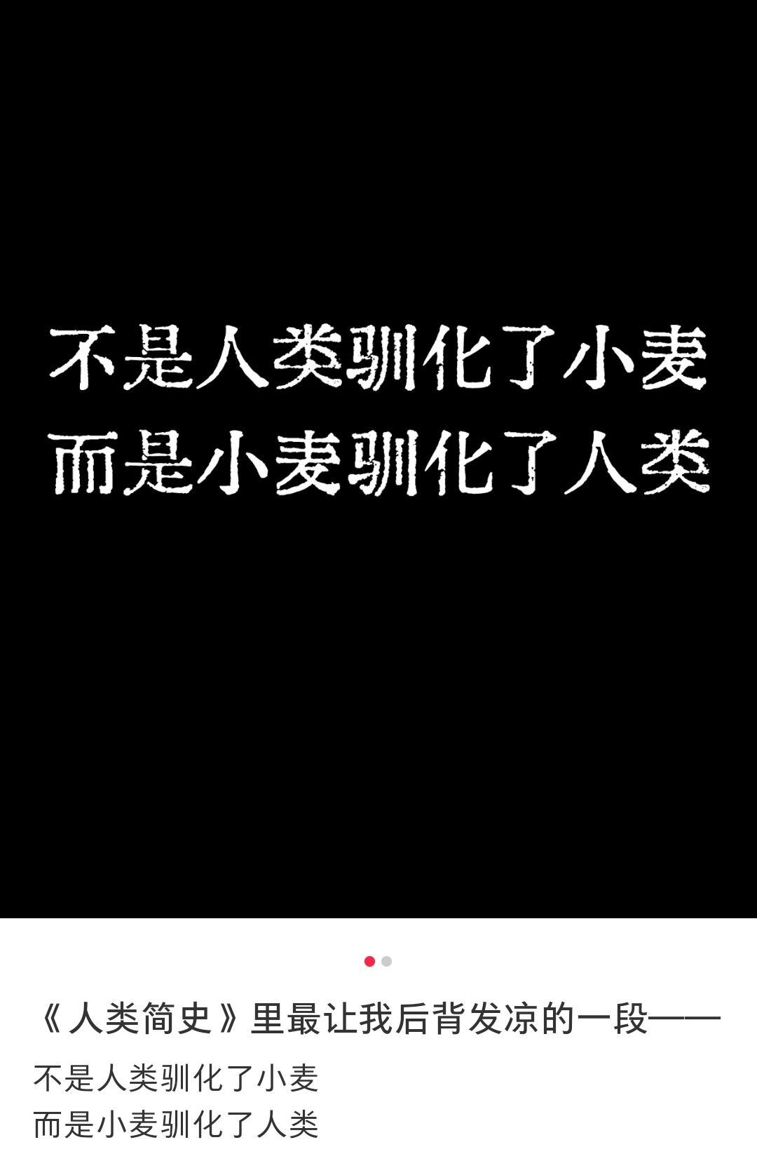 是小麦驯化了人类  人类真的喜欢想太多