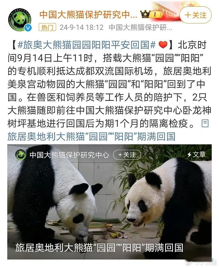 福宝再也不用想爷爷啦，因为爷爷也回国啦#大熊猫福宝[超话]##大熊猫圆圆##大熊
