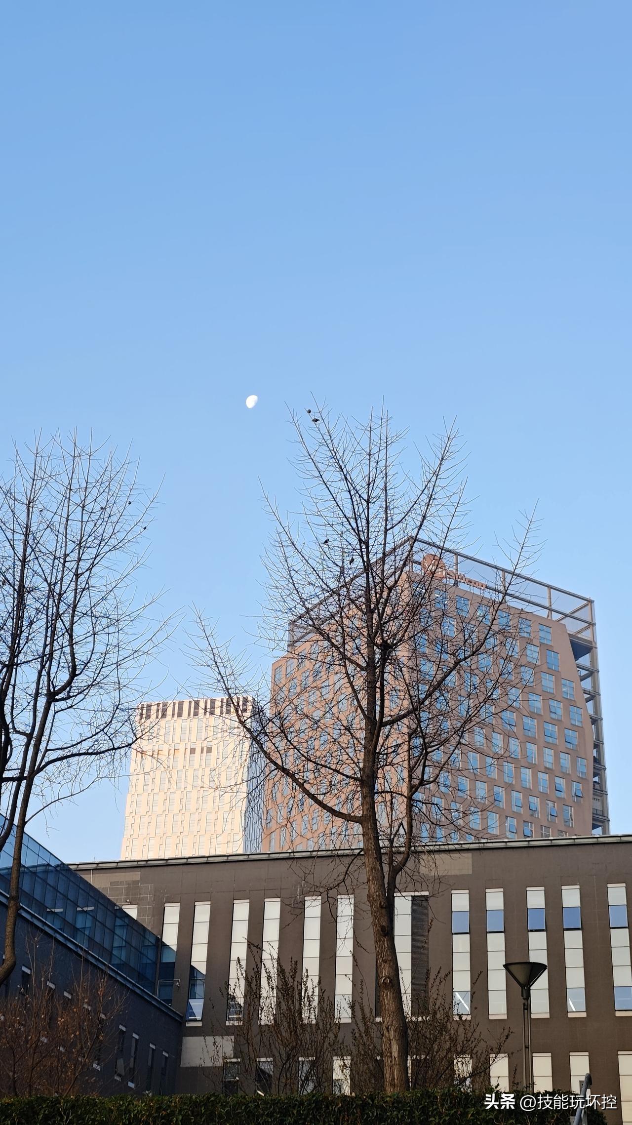 城市天际线下的静谧时刻，现代建筑与自然和谐共存。