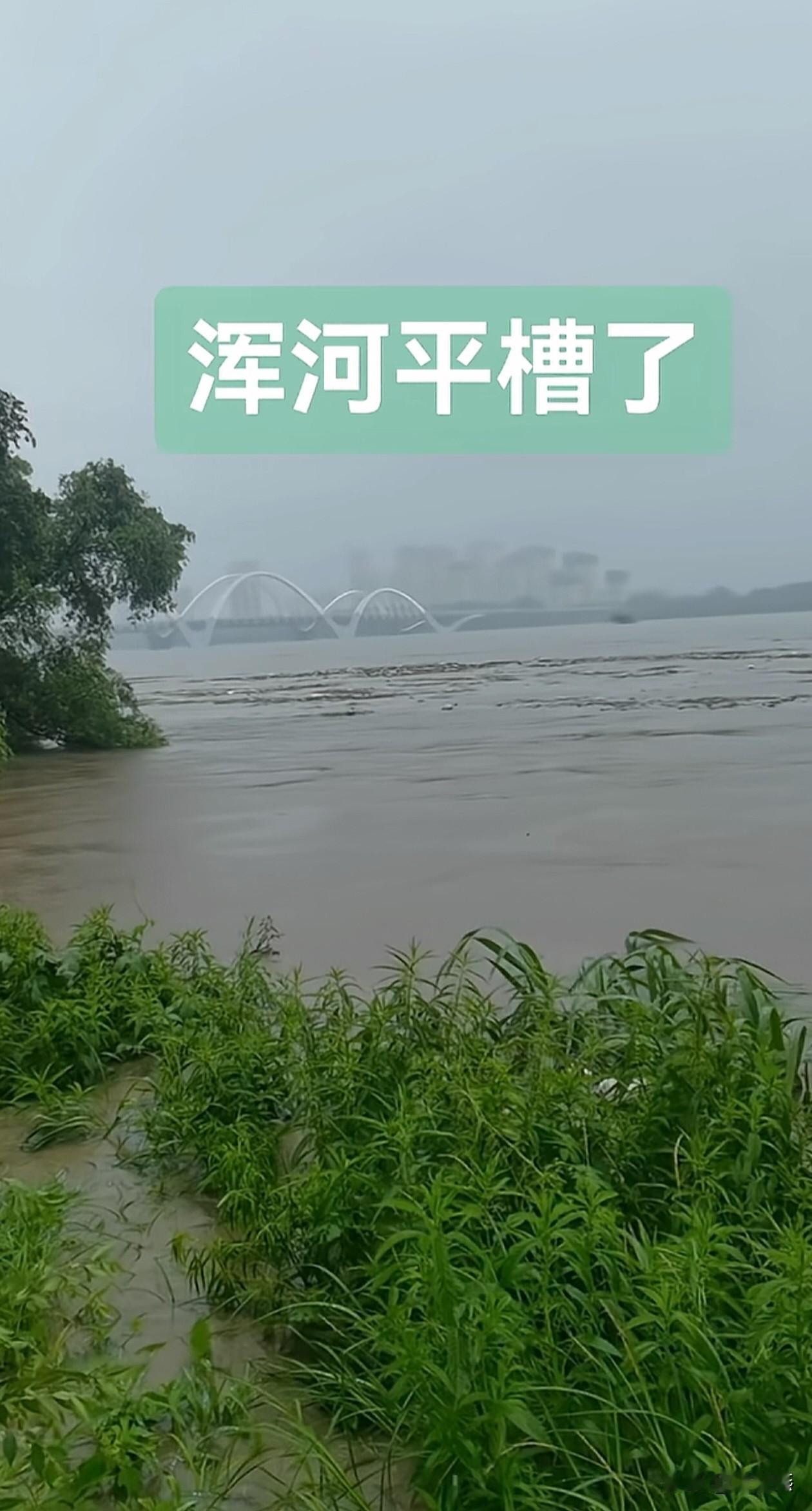 这你敢信，以年半死不活的沈阳浑河，今天涨得平槽了。

江浙沪人民囤了一大堆台风物