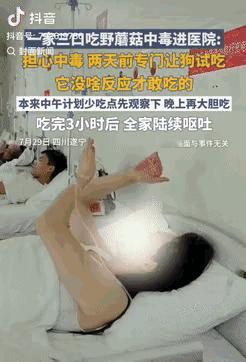一家子都是人才！四川遂宁，一家三口吃野蘑菇担心中毒，特意提前让狗试吃，见它没啥反