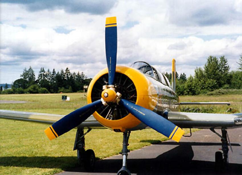 初教六在国外的各种飞行俱乐部是非常受欢迎的飞机，是各种二战模拟空战中的常客。当洪