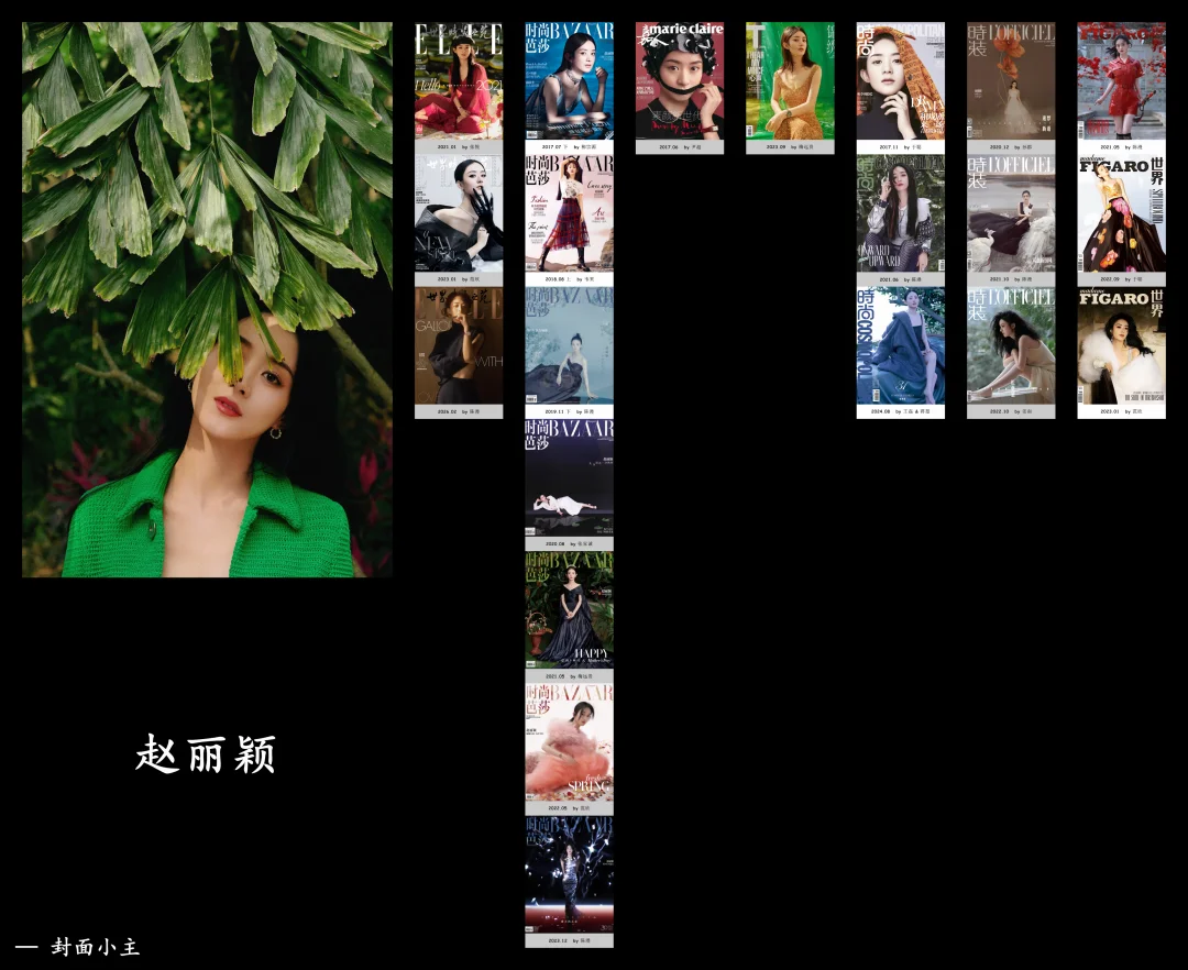 赵丽颖女刊合集