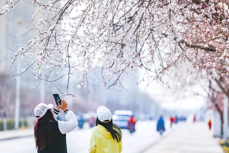 看到上联“冰天雪地送冬去”
便思索下联需呼应之场景
上联绘冰天雪地别冬之景
下联