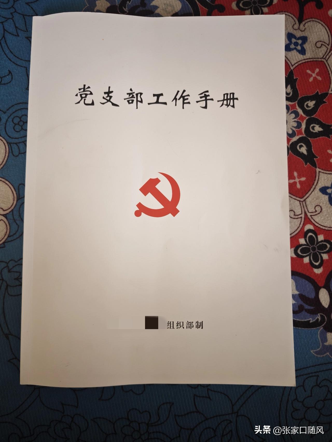 这两天可把我忙坏了，两个会议记录要补，书记小学二年级没毕业，做不了。

支部委员