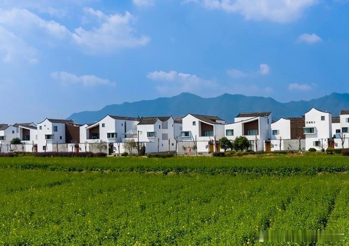 【连锁做大的核心：是“总部系统”的竞争，而非“门店数量”的竞争】连锁企业真正的壁