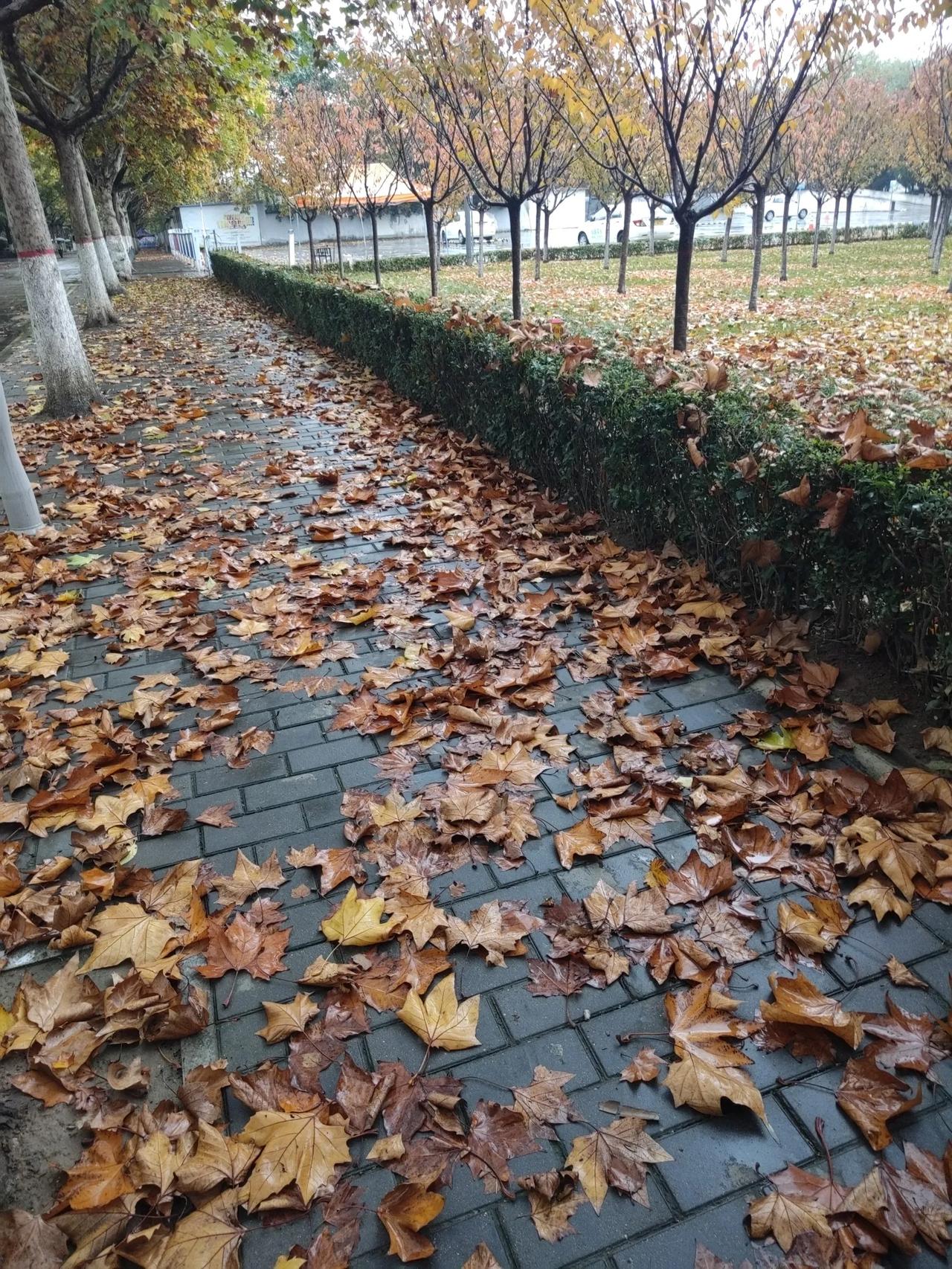 初冬的运气实在不好，犯小人！