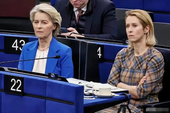 冯德莱恩和卡拉斯她们这两张嘴现在对准伊朗开火，没心情管乌克兰了。

这俩人最近可