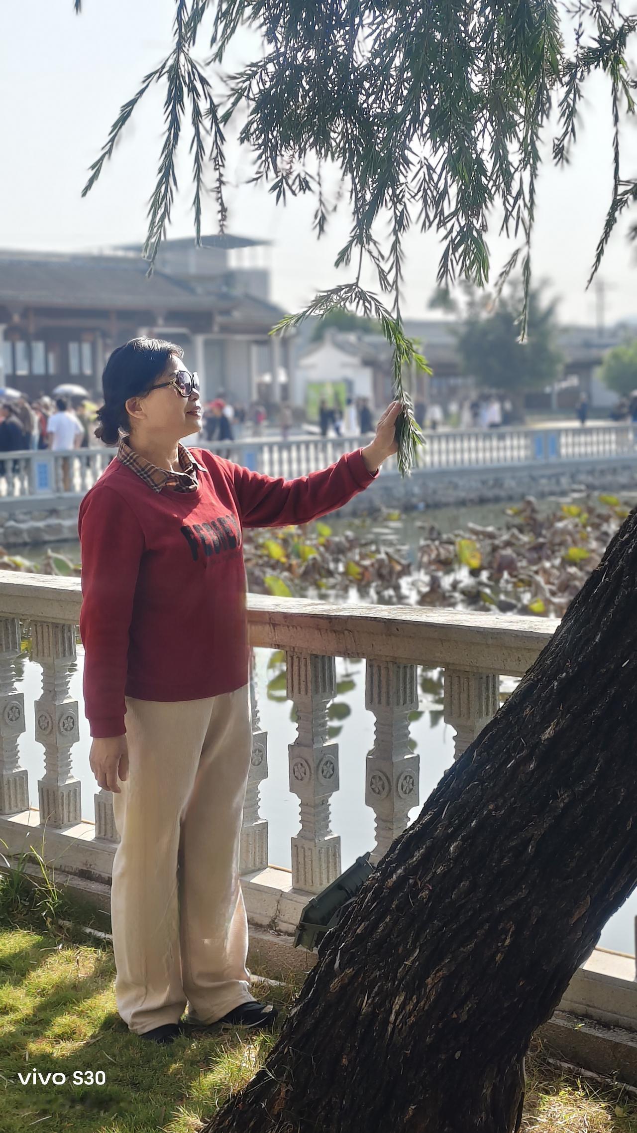 2026最想实现的一件事实现愿望