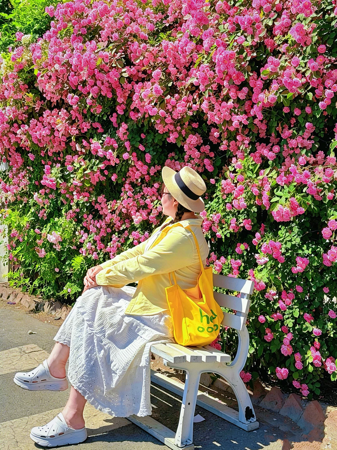 4.29实拍 | 郎园的蔷薇花已经开爆❗人少花多