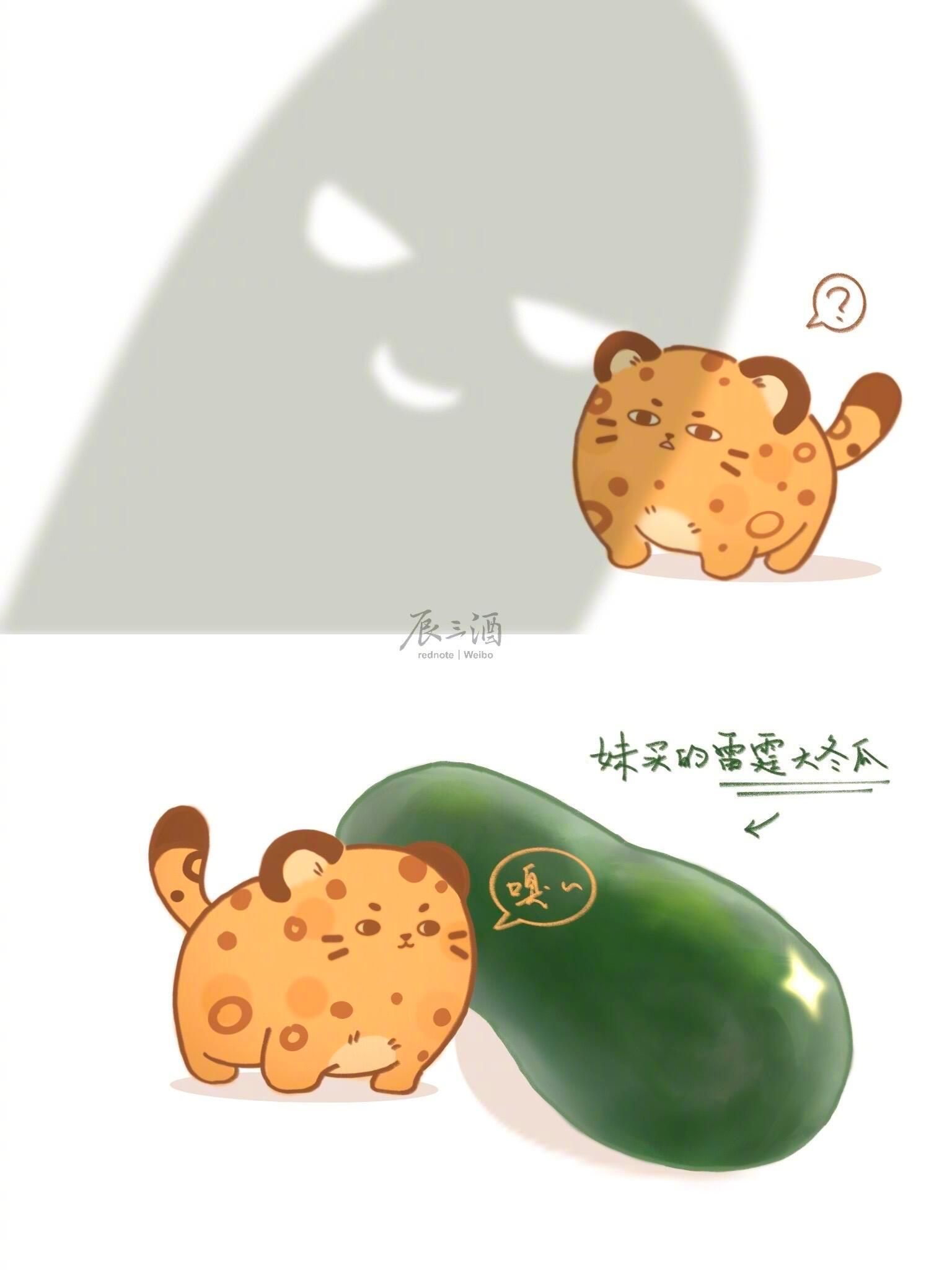 罗圈腿豹夏以昼恋与深空此刻游我主宰夏日游趣狂欢季