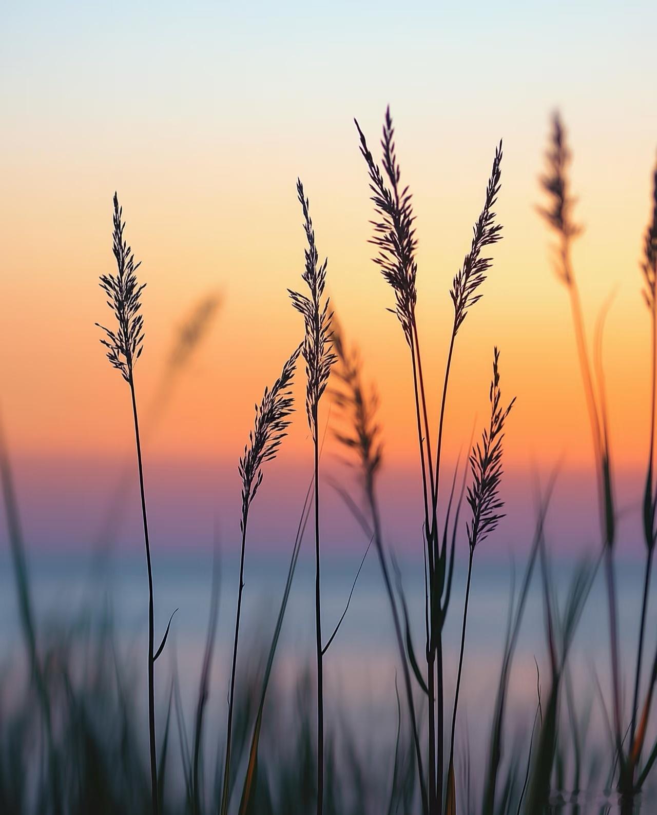 有八说，父母永远会为儿女托底，子女却常常让父母孤独无助。这大概就是生活中的现状：
