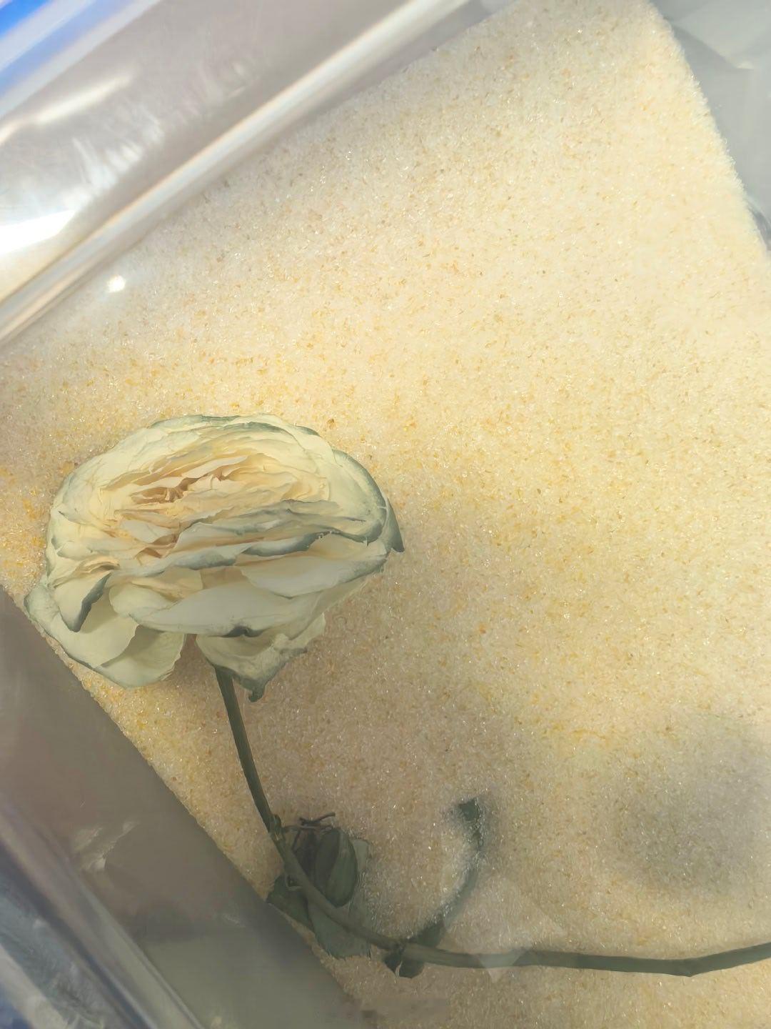 张云雷        官人送的花     完好无损的    跟我回了天津