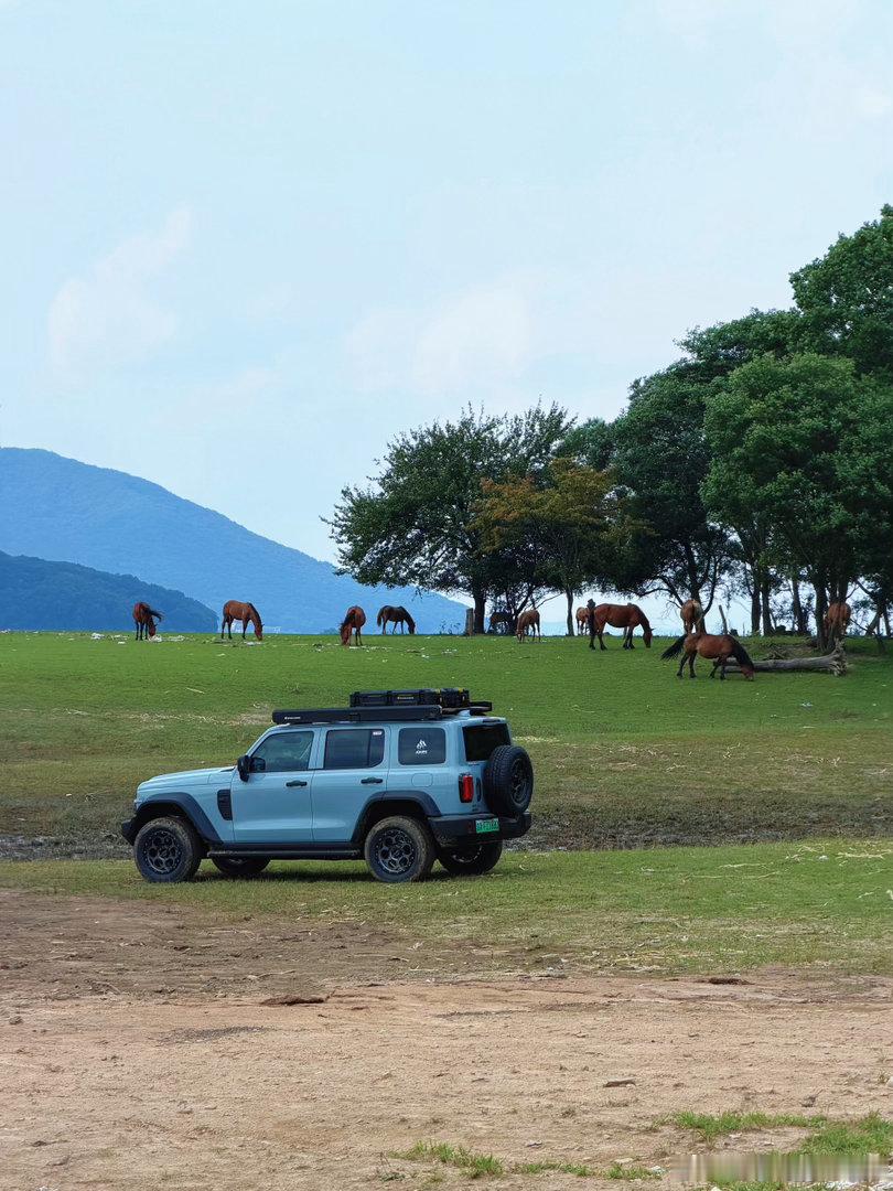 offroad是实打实的情绪收益，一次就会上瘾。但前提是你需要有台好车。小鱼的坦