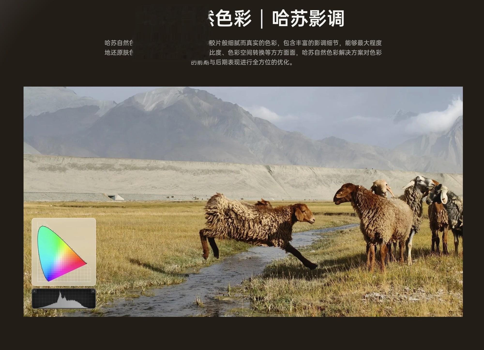 米/O/v/耀，旗艦標(biāo)準(zhǔn)版到底怎么選？