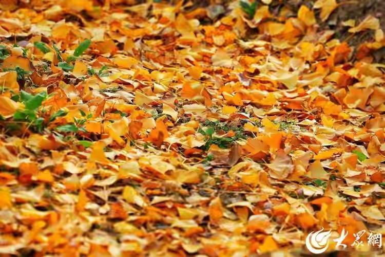 “众人皆醉我独醒”，这句词语相必每个人都懂它的意思。
如果将它改为“众人皆装醉我