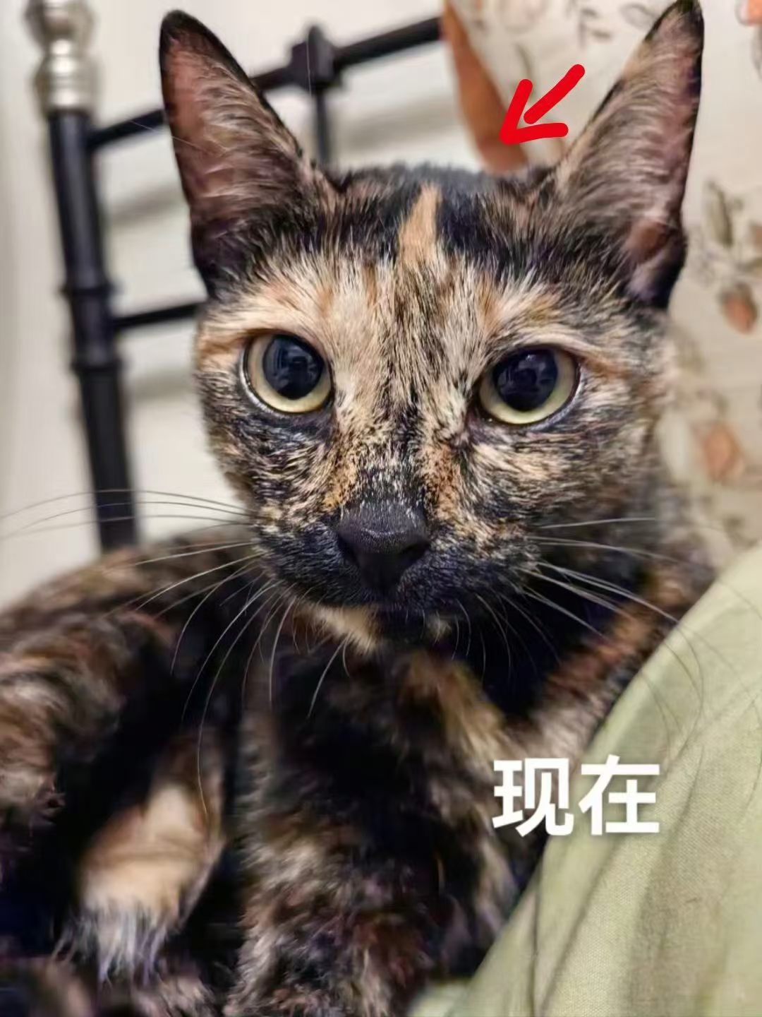 回访 花臂： 这个世界总得有人在缝缝补补。 ​​​