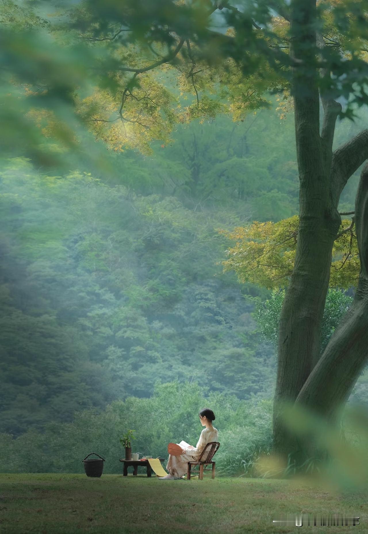 煮茶 读书 惬意煮茶 居家煮茶 喝茶看书 煮茶感悟 周末宅家煮茶 品茗日常 品茶