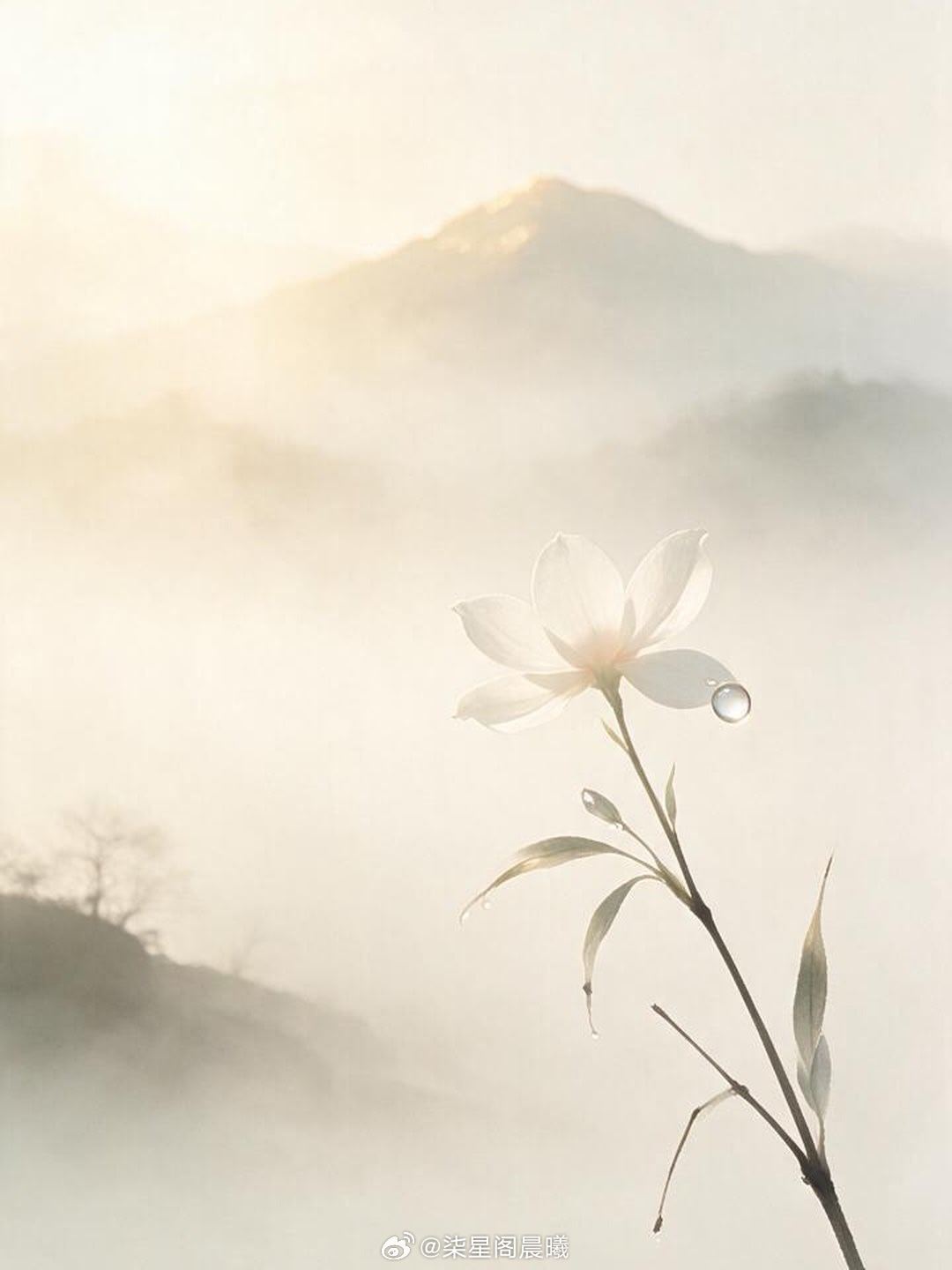 ☀️ 早安星语｜2026年10月27日 周二 🌤️丙午年·戊戌月·甲戌日🌟 