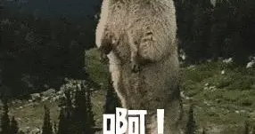 我把AI當輔助，AI刪我數據庫