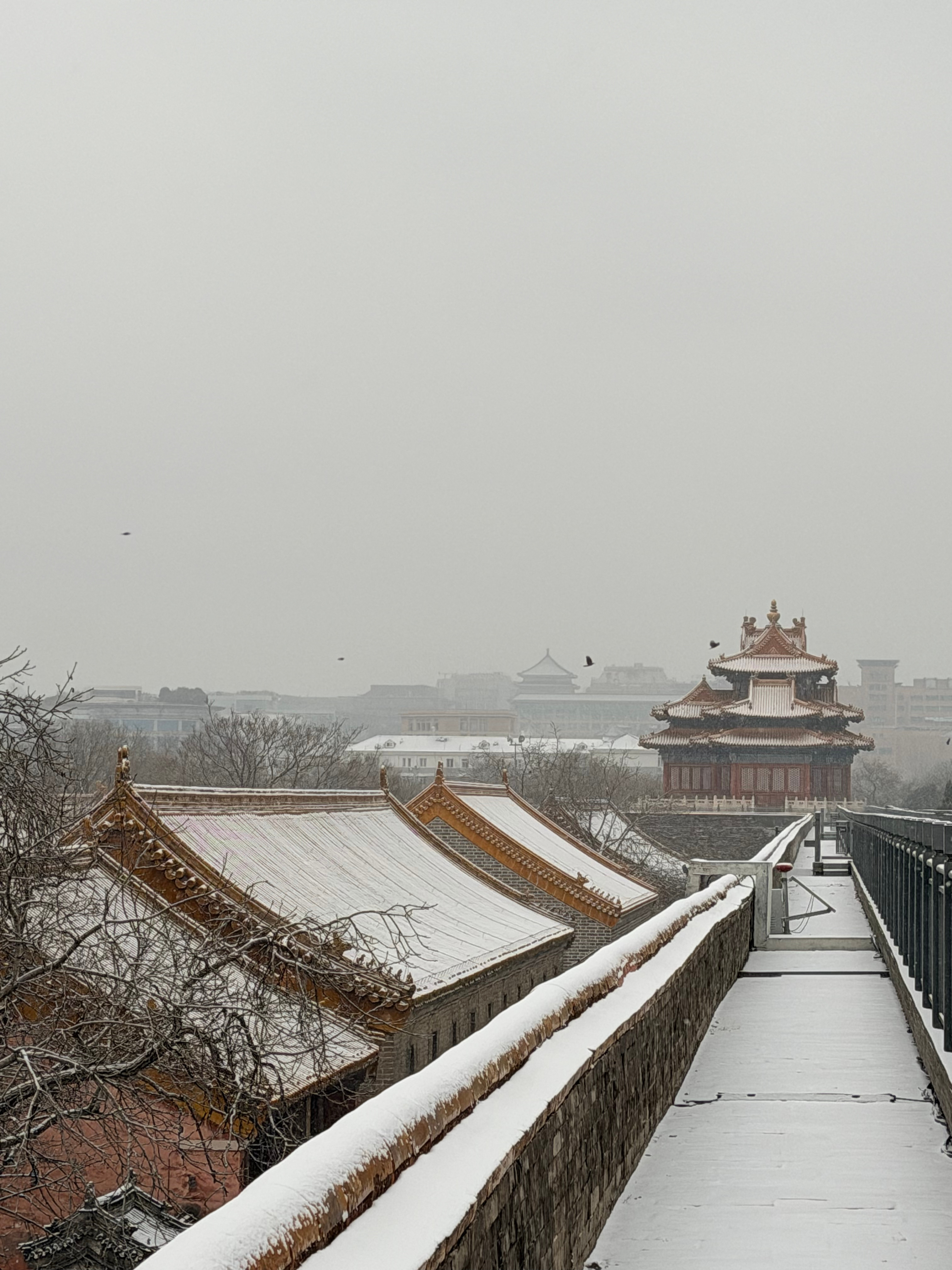 你们那里下雪了吗❄️北京暴雪