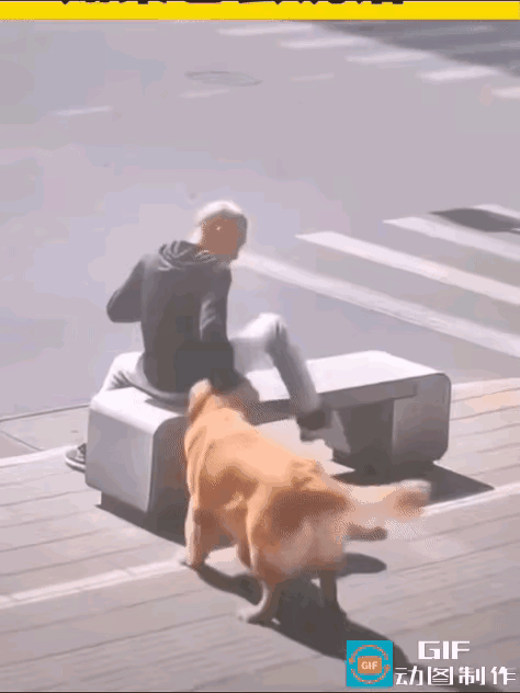游客到某旅馆投宿，但他对这家旅馆不太满意，找经理投诉。经理问：“有什么不满之处，