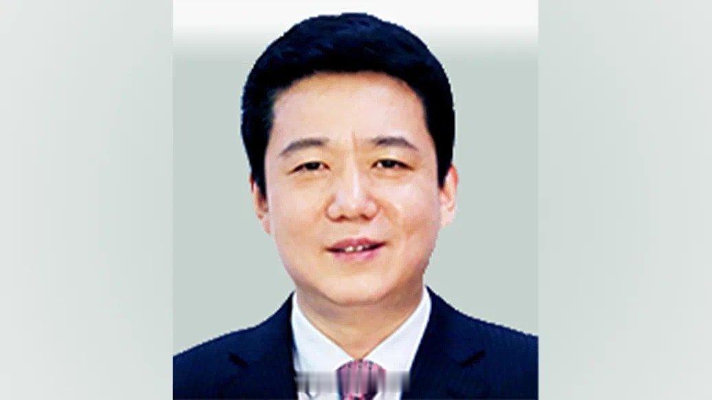 中国航空集团有限公司网站日前更新后显示，此前担任中国民用航空局副局长、党组成员的