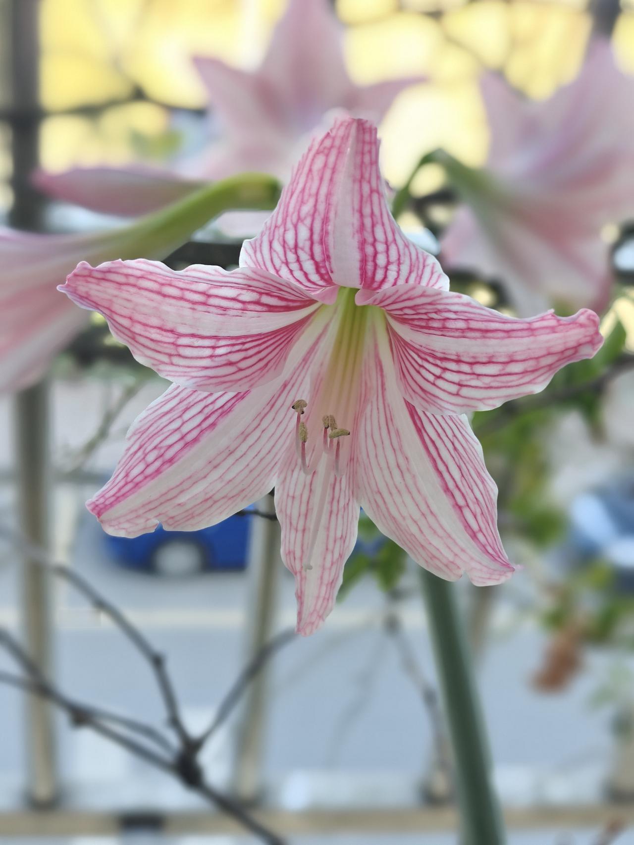 ”家是讲爱的地方”这句是较毒的毒鸡汤[笑哭][笑哭]