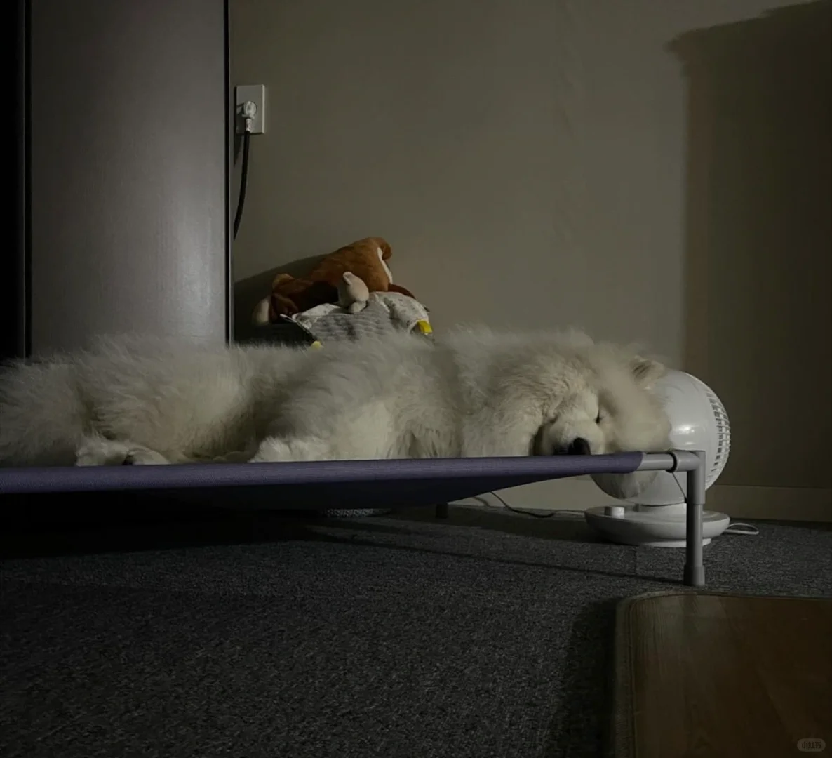 劳累了一天，耶师傅也早早的进入了梦乡