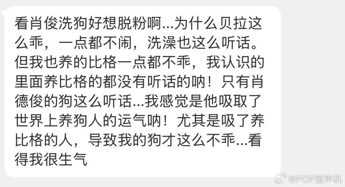 看肖俊洗狗好想脱粉啊... 