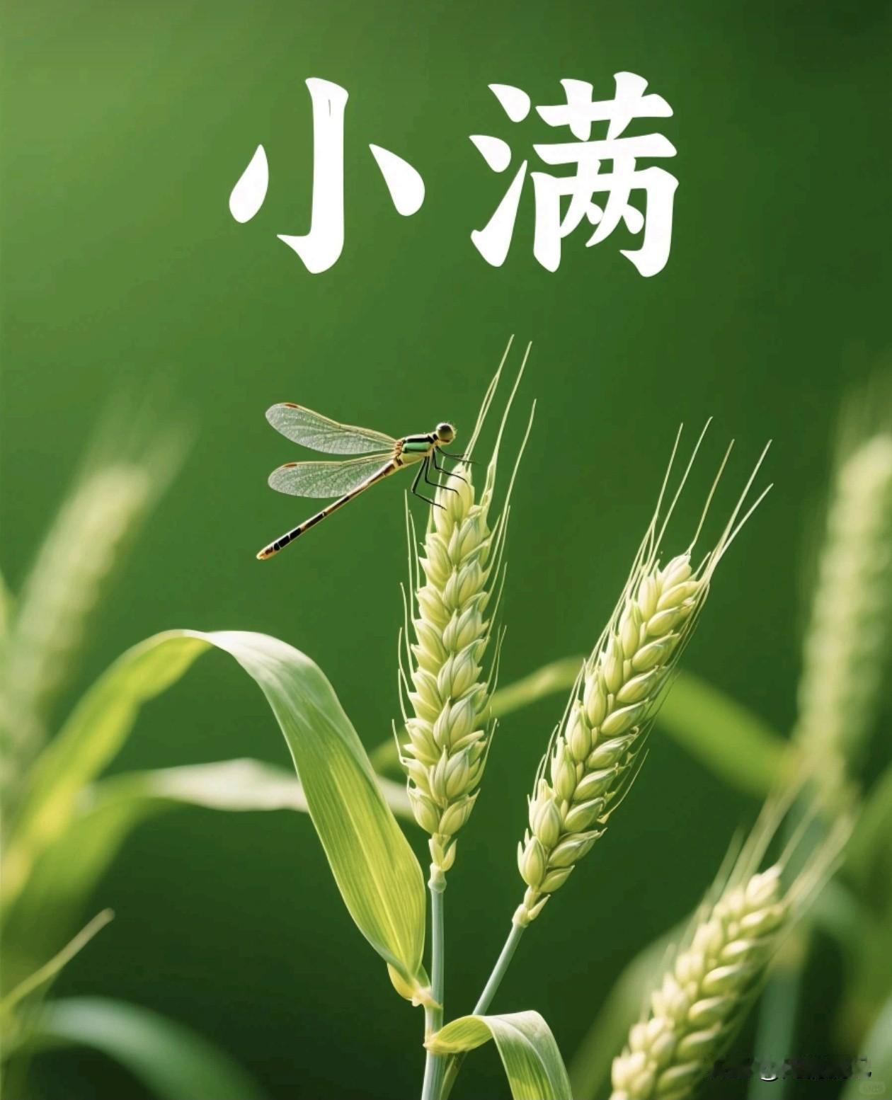 天道忌满，人道忌全。
 
世间从无事事皆如意，命运也不会将万般好运独赐一人。
 