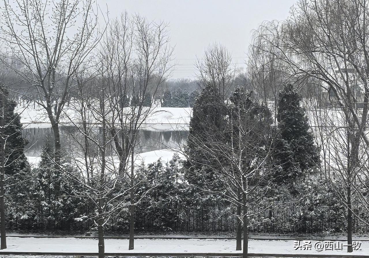 看完了成龙2025年新拍的《功夫梦》，有点儿莫名其妙。全片至少两个槽点，一个是主