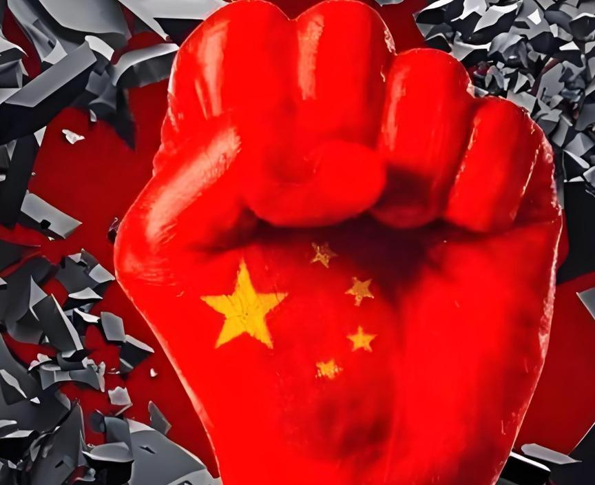 中国这次出手，美国最不愿意看到的一幕发生了，日本沉默了，韩国傻眼了，西方国家表示