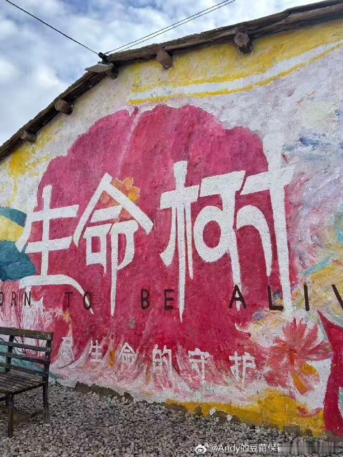 杨紫生命树是真的火啊