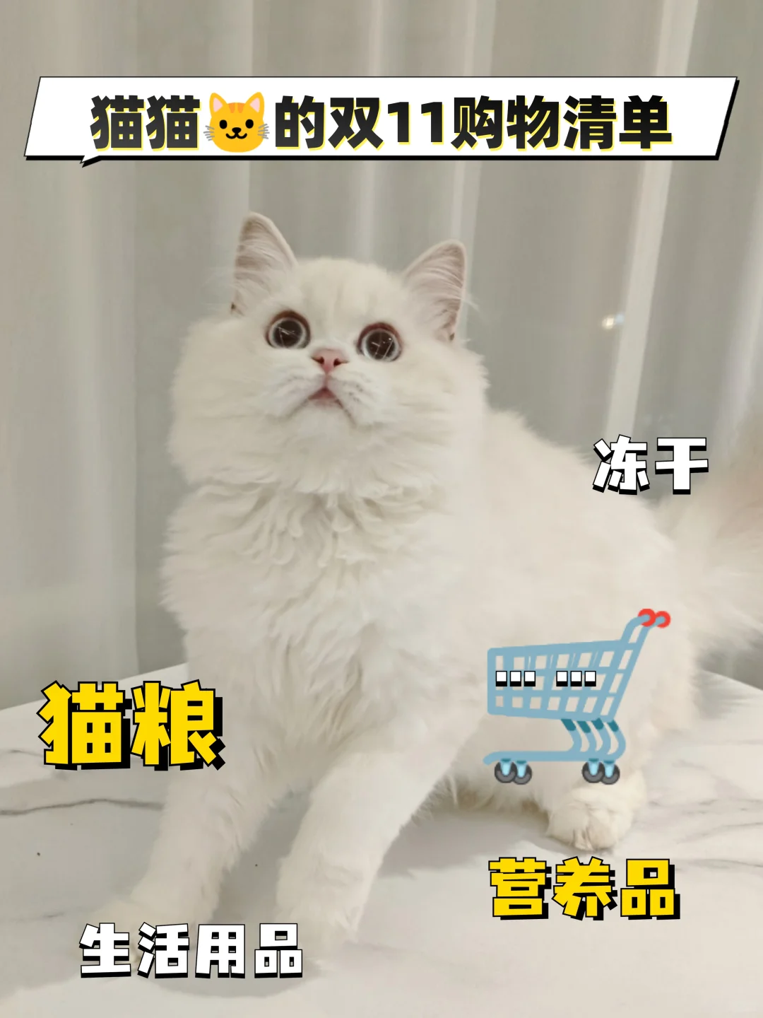 猫猫🐱的双11购物清单