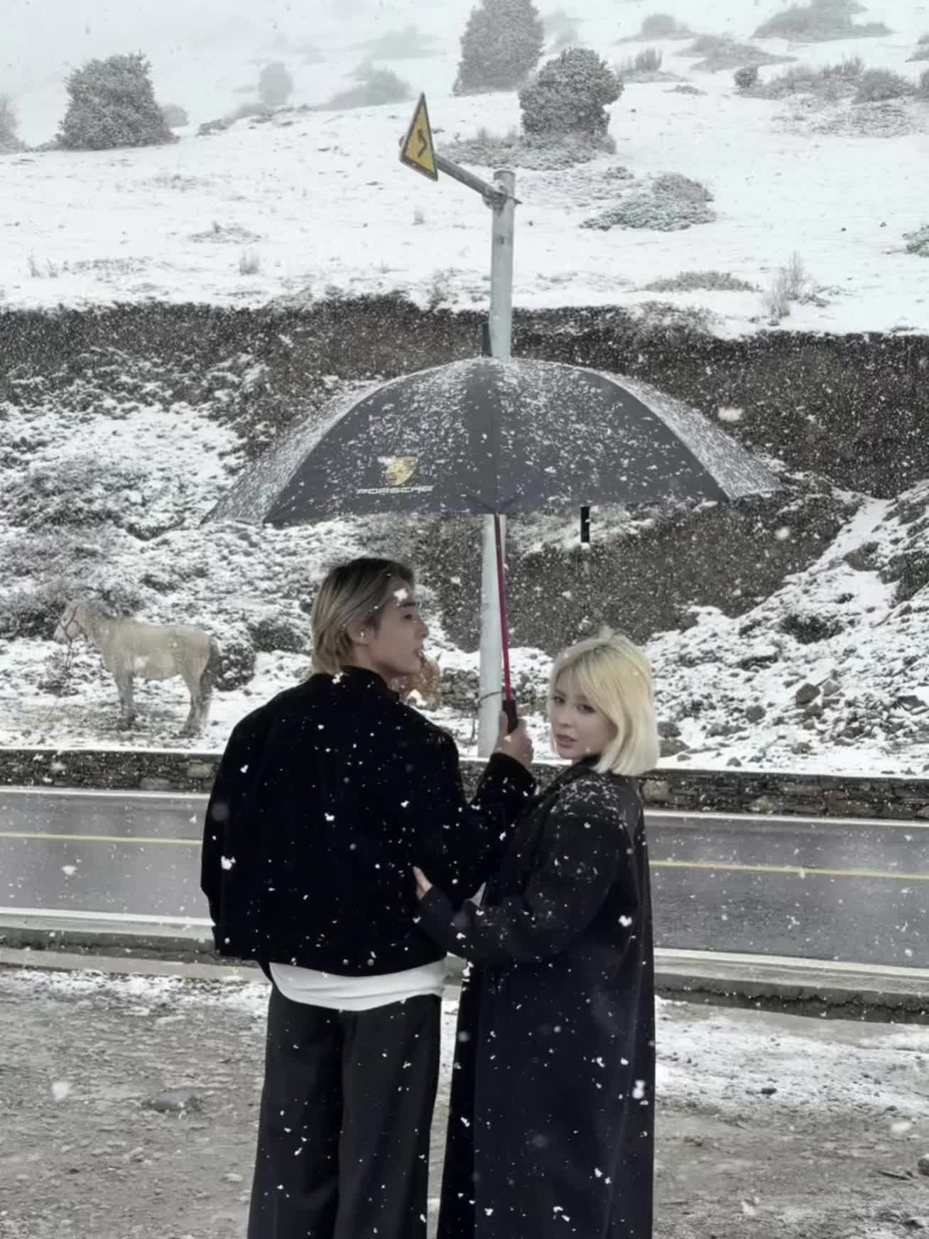 两人两狗自驾川西啦 遇见了下雪 下雨 雨过天晴 一路的风景都在路上 毛...