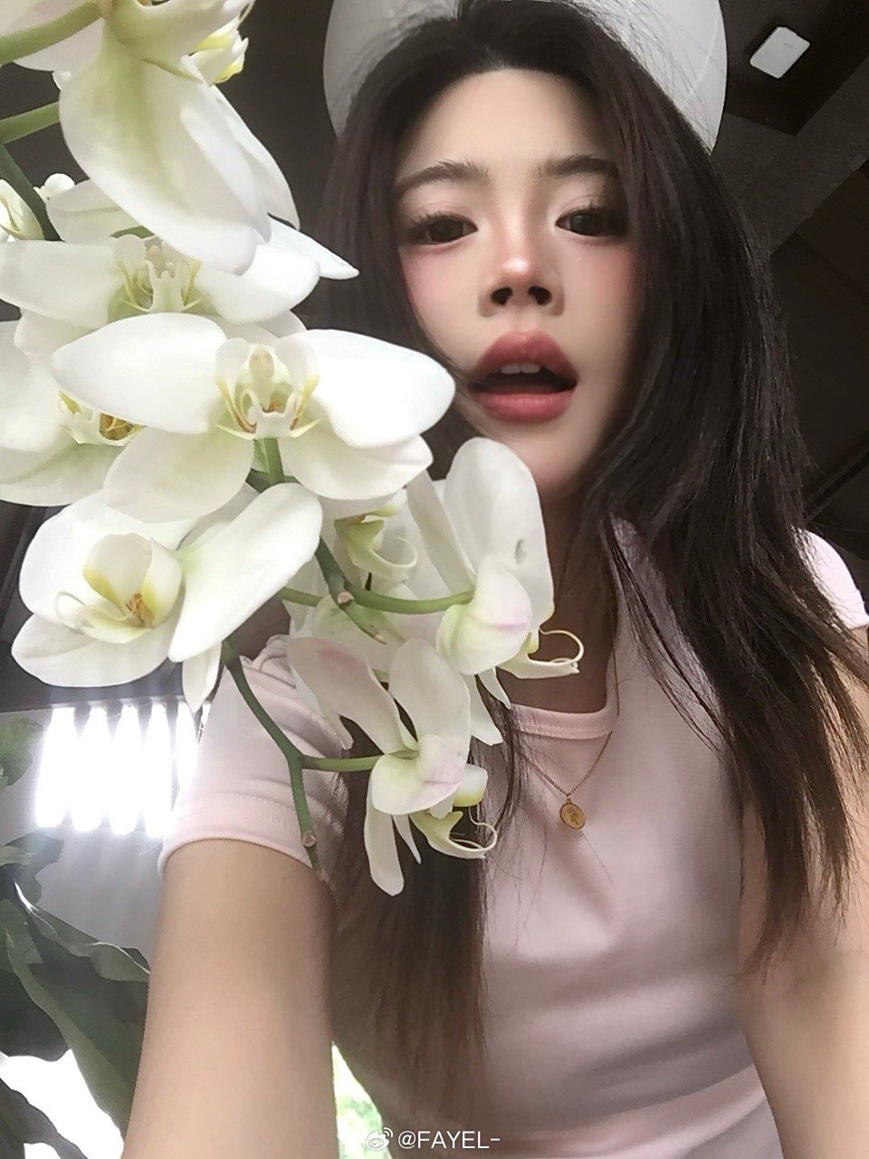 🦋兰 ​​​