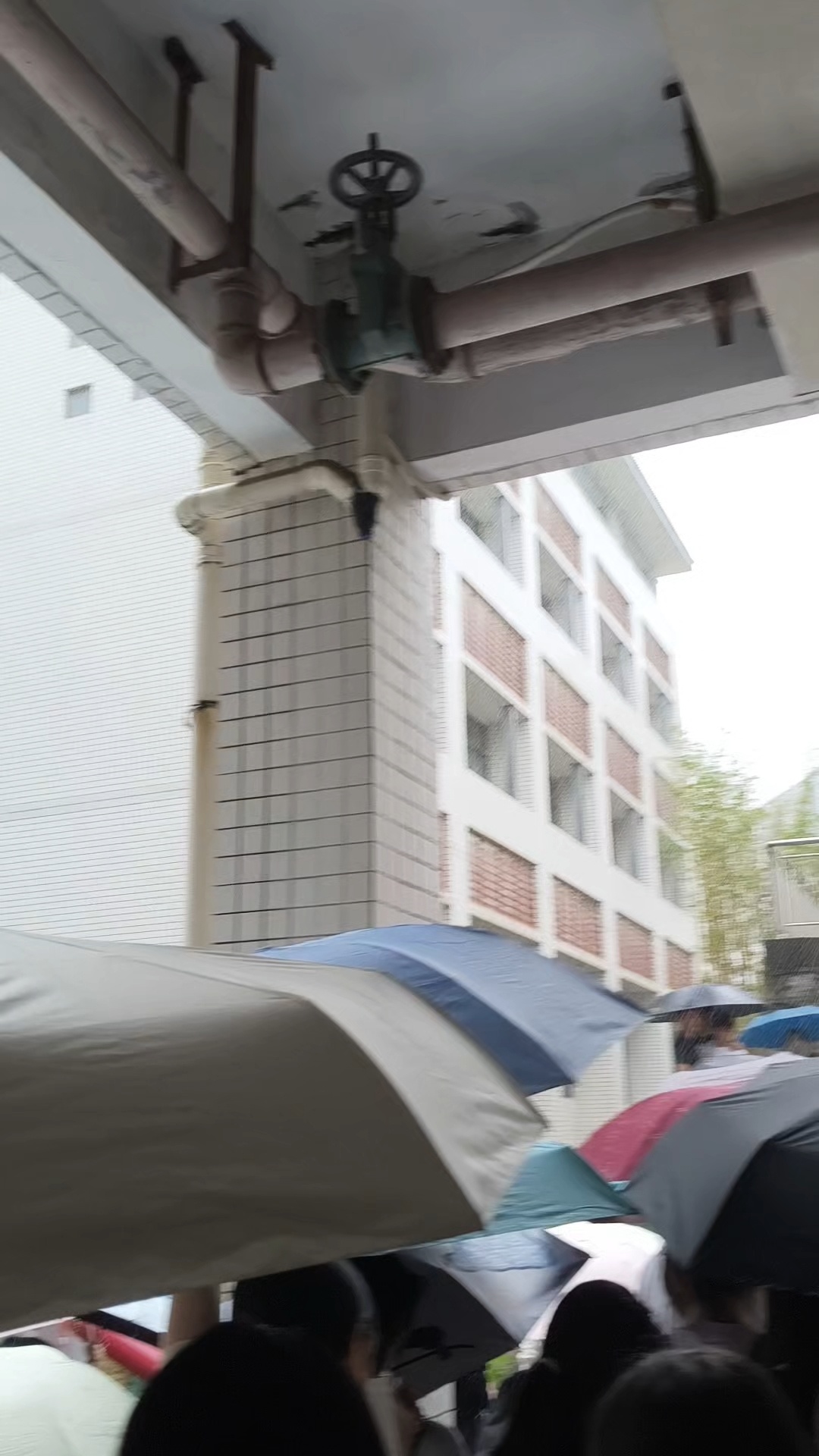 我看伦敦也未必有广东忧郁 