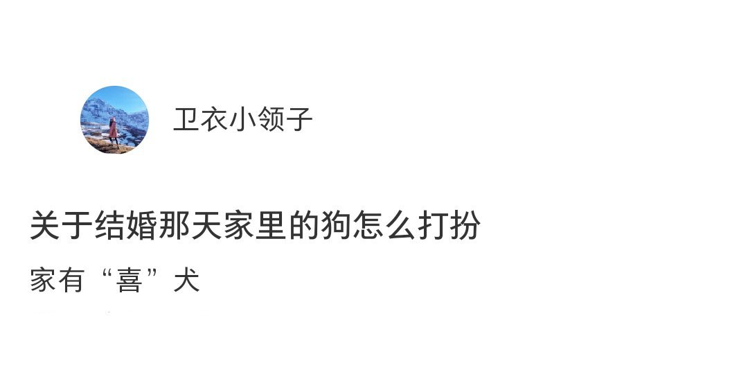 结婚那天家里的修狗怎么打扮[开学季] ​​​
