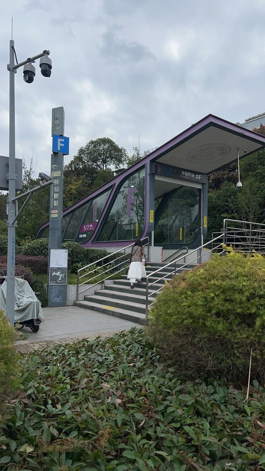 成都的神仙树真的是一个绿意盎然的地方，你看看这个地铁站，满眼都是绿色的树影，神仙