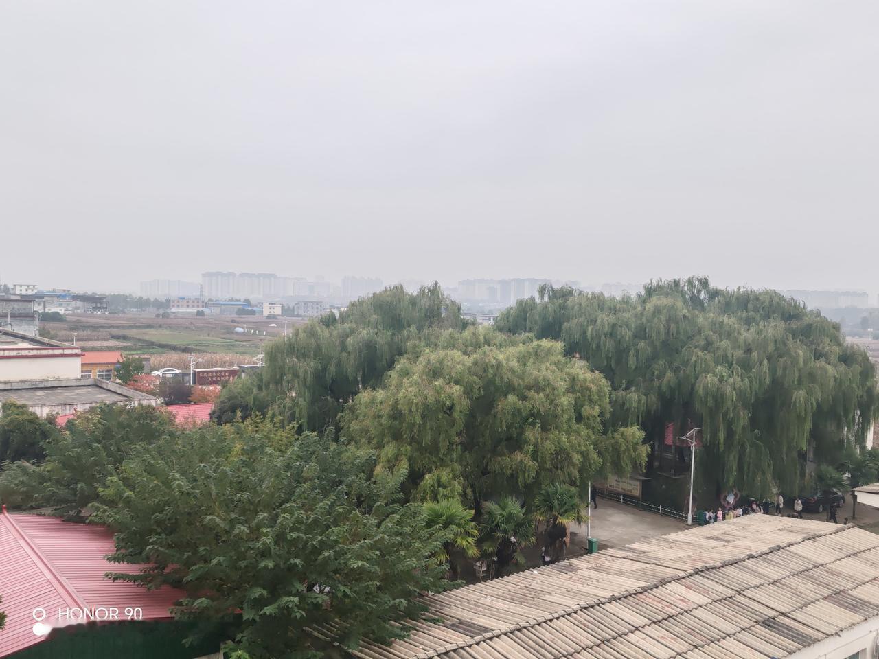 生存下去的欲望，让它历经磨难。其实，人又何尝不是如此呢。[祈祷]//@玻璃心14