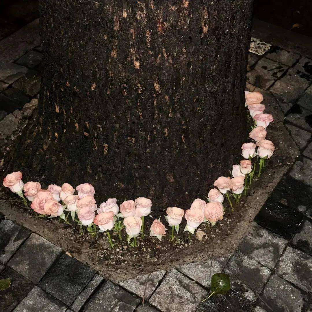 🔖〰️

你不知道，
在无名的街道里，
总有无名的花，
为你野蛮生长，
只需要