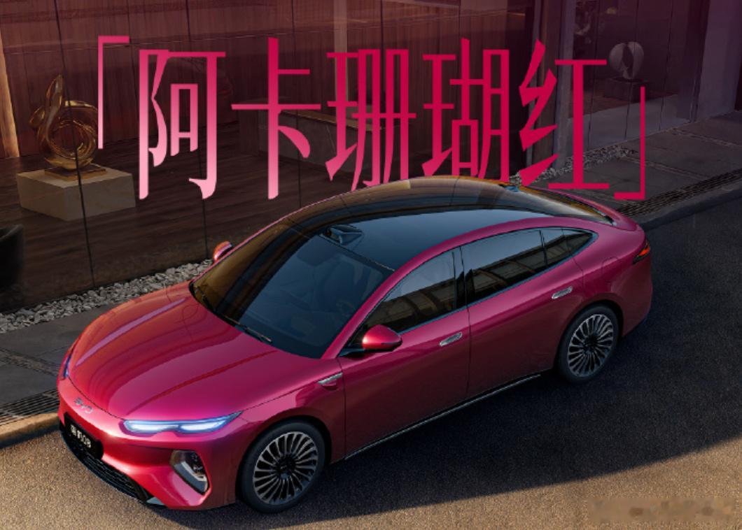 车圈又一辆“价格屠夫”，海豹08预扣款实锤，25万元，预计7月上市 