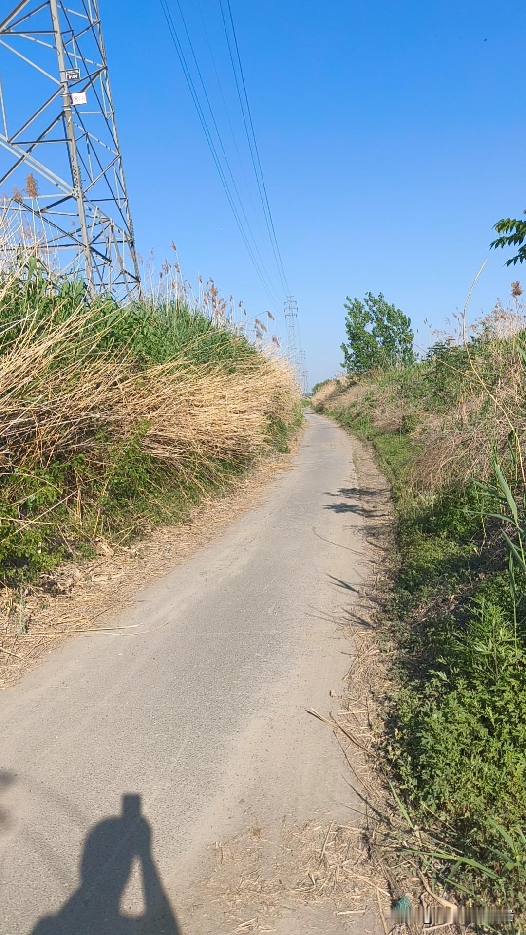 永远不要怕事和逃避
  越害怕什么，什么就越会来折磨。
  今天的苦难逃避了，明