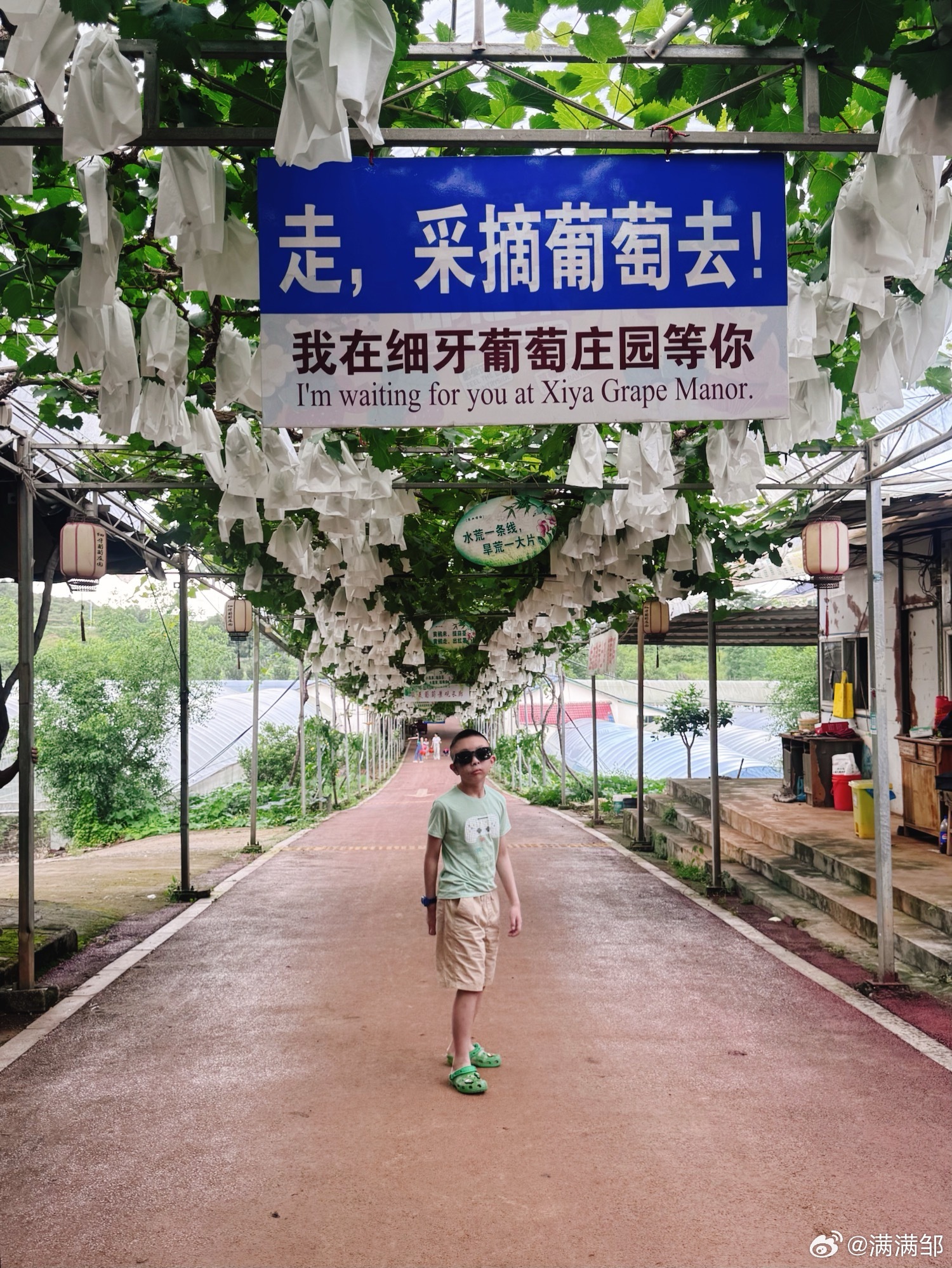 去年带满满摘草莓🍓，今年带满满摘葡萄🍇。现在夏黑葡萄、黄金蜜、阳光玫瑰、金香