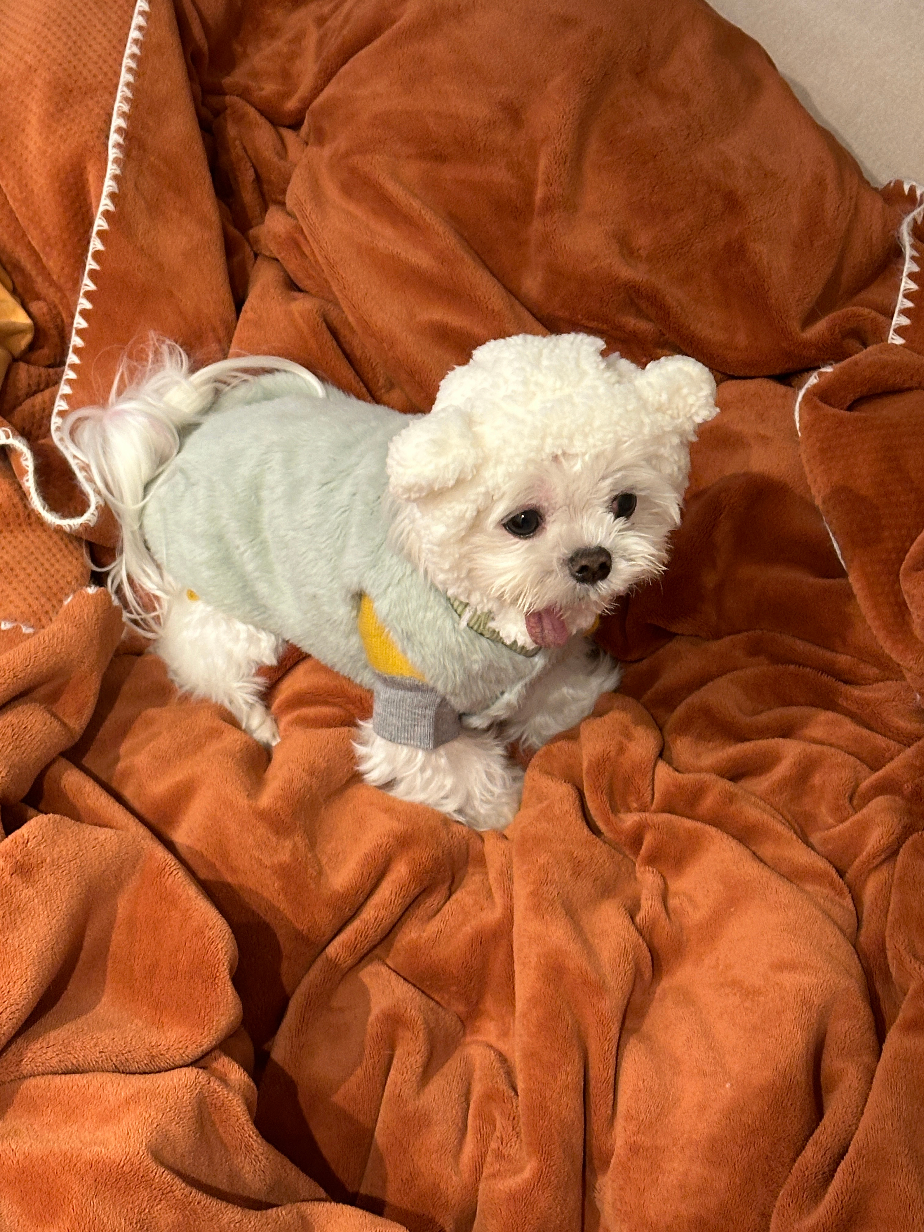 shui家宝宝这么可爱啊😍 ​​​