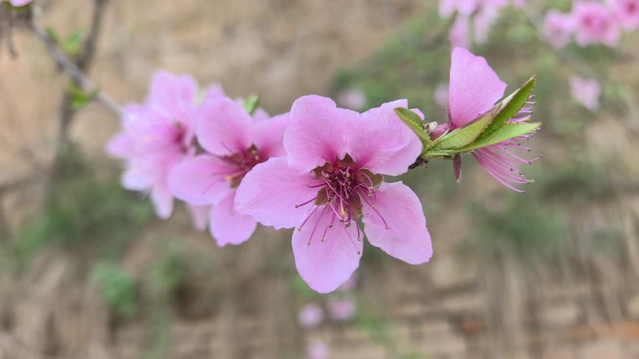 很多人对八九十年代的农村有误解，其实那时候，绝大多数农村人已经能吃饱、能穿暖了。